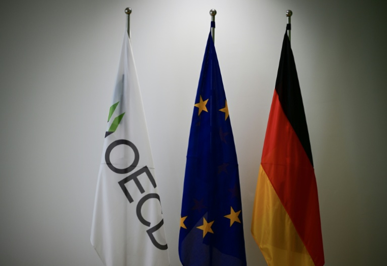 Les drapeaux de l'OCDE, de l'UE et de l'Allemagne, le 12 juin 2025, à Berlin ( AFP / Tobias SCHWARZ )
