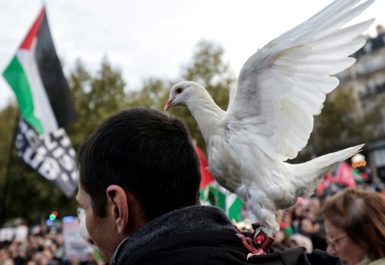 Manifestation de soutien à la flottille pour Gaza interceptée par les forces navales israéliennes, organisée à Paris le 2 octobre 2025 ( AFP / STEPHANE DE SAKUTIN )