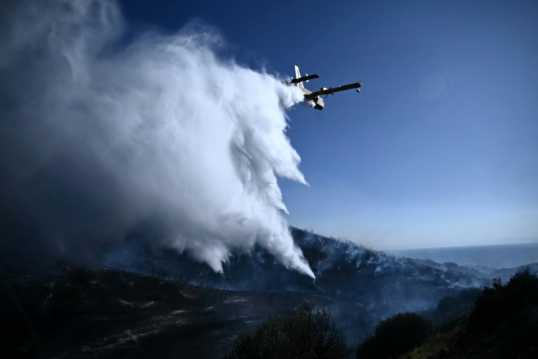 Un avion Canadair de lutte contre les incendies largue de l'eau sur un feu de forêt, près de Thymari, au sud-est d'Athènes, le 26 juin 2025 en Grèce ( AFP / Aris MESSINIS )