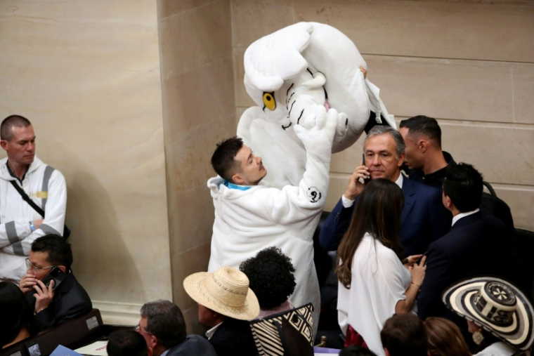 Le nouveau sénateur colombien et militant anticorruption, Luis Carlos Rúa, vêtu de son costume d'éléphant blanc, lors de la séance de prestation de serment au Congrès, le 20 juillet 2026 à Bogota ( AFP / ESTEBAN VEGA LA-ROTTA )