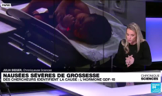 Des chercheurs identifient la cause des nausées sévères de grossesse : l'hormone GDF-15