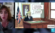 Élections législatives en Allemagne : qui pour succéder à Merkel ?