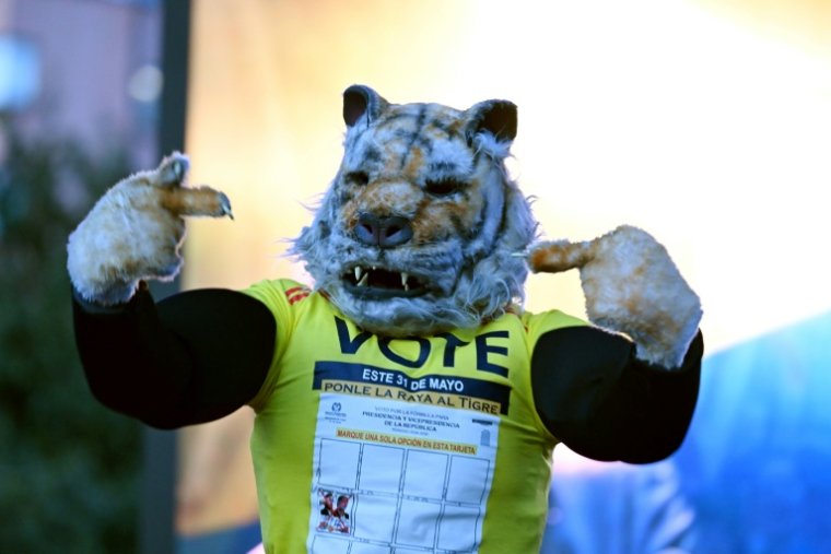 Un supporter d'Abelardo de la Espriella, candidat à la présidentielle en Colombie, déguisé en tigre lors d'un meeting à Bogota, le 20 mai 2026 ( AFP / Raul ARBOLEDA )