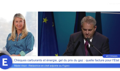 Chèque carburant et énergie, gel du prix du gaz : quelle facture pour l'Etat ?