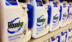 Glyphosate: le Roundup de Monsanto jugé cancérigène par un jury californien (Crédit photo: Mike Mozart - Flickr)