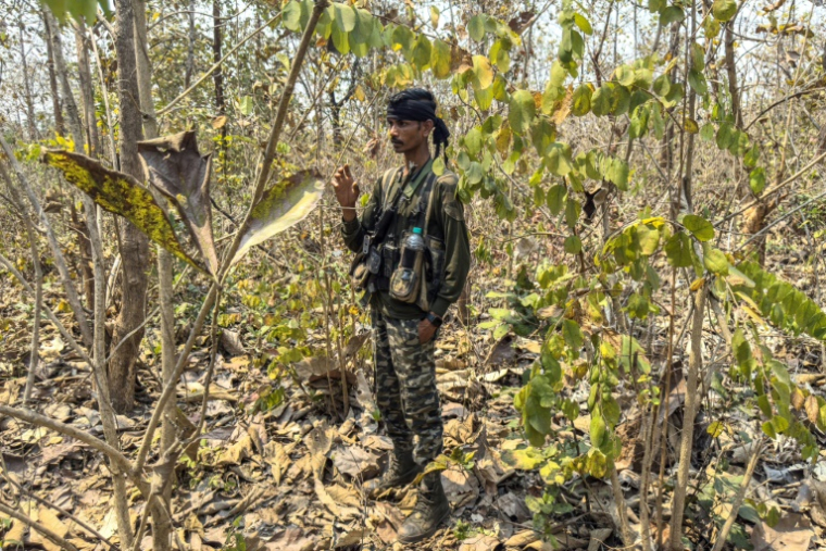 L'ex-maoïste Kiran, qui a rejoint les Gardes de la réserve de district (DRG), à Dantewada, dans le district de Bastar de l'Etat de Chhattisgahr, le 16 mars 2025 dans le centre de l'Inde ( AFP / Jalees ANDRABI )