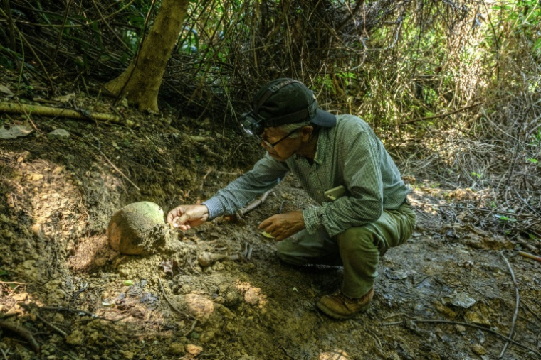 Takamatsu Gushiken recherche des restes humains, oubliés depuis la Seconde Guerre mondiale, dans une forêt d'Itoman de la préfecture d'Okinawa, le 11 juin 2025 au Japon ( AFP / Philip FONG )