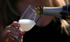 Les vendanges 2026 ont été les plus précoces jamais observées en Champagne, avec de premiers coups de sécateurs dès le 6 août ( AFP / Kirill KUDRYAVTSEV )