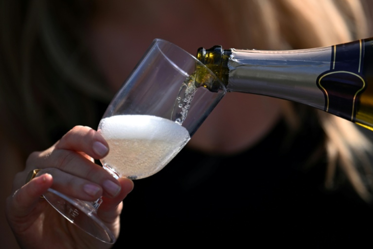 La récolte de champagne en 2026 présente "un potentiel de très grands vins", selon l'interprofession ( AFP / Kirill KUDRYAVTSEV )
