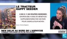 La capitale indienne New Delhi au bord de l'asphyxie : comment expliquer ce pic de pollution ?