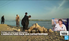 L'agriculture face aux catastrophes environnementales: comment protéger nos ressources alimentaires?