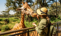 Les parcs zoologiques proposent de nombreuses activités originales avec des animaux sauvages. ( crédit photo : Shutterstock )