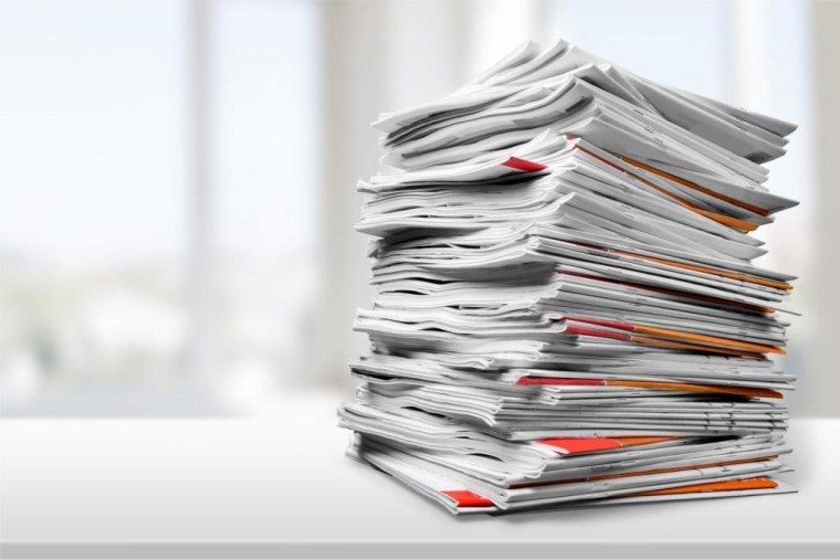 Billion Photos/Shutterstock / Billion Photos