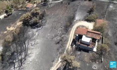 Incendies en Grèce : paysages dévastés et colère des rescapés