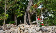 Le cimetière privé de la famille Roussas aux Abymes, en Guadeloupe, le 31 octobre 2025 ( AFP / Carla Bernhardt )
