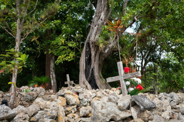 Le cimetière privé de la famille Roussas aux Abymes, en Guadeloupe, le 31 octobre 2025 ( AFP / Carla Bernhardt )