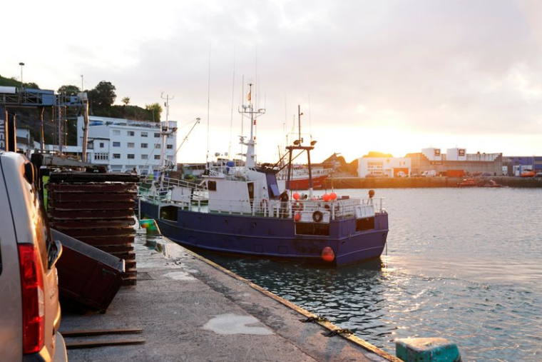 REJET DU RECOURS NÉERLANDAIS CONTRE L'INTERDICTION DE LA PÊCHE ÉLECTRIQUE DANS L'UE