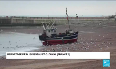 Accord post-Brexit : les pêcheurs britannique se sentent "trahis"