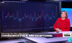 Submersion des côtes californiennes: la conséquence d'un El Niño exceptionnel