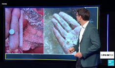 De l’oxycodone dans de la farine à Gaza ? Que sait-on de cette rumeur ?