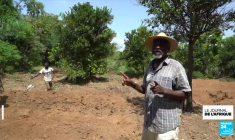 L'Union européenne annule sa mission d'observation électorale en République Démocratique du Congo