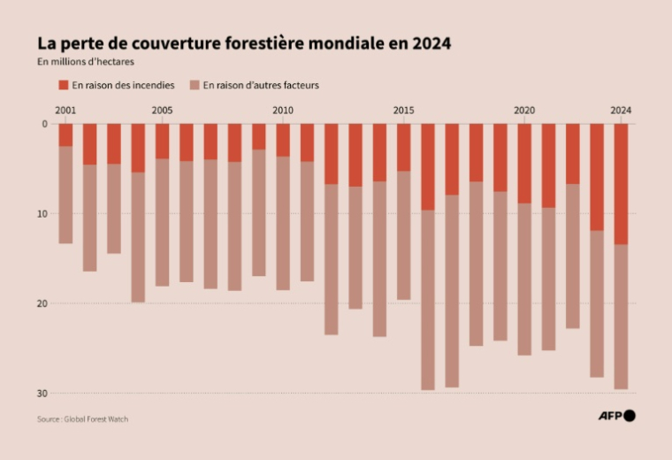 La perte de couverture forestière dans le monde due aux incendies et à d'autres facteurs entre 2001 et 2024, selon les données de Global Forest Watch. ( AFP / Ioana PLESEA )