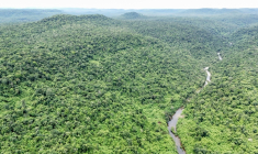 Vue aérienne du parc national des Cardamomes, dans la province de Koh Kong, le 11 juin 2026 au Cambodge ( AFP / Suy SE )