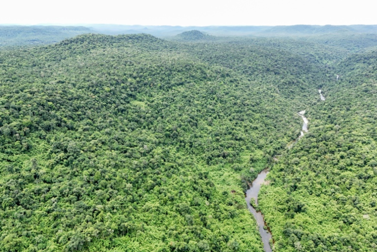 Vue aérienne du parc national des Cardamomes, dans la province de Koh Kong, le 11 juin 2026 au Cambodge ( AFP / Suy SE )