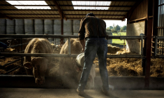 ( AFP / JEFF PACHOUD )