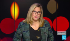 Les différentes vies de Gaëtan Roussel