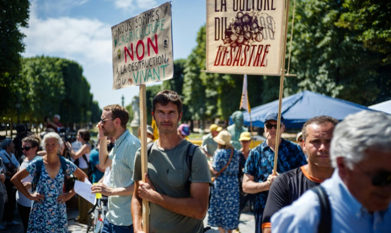 Manifestation contre la loi Duplomb à Paris le 30 juin 2025 ( AFP / Dimitar DILKOFF )
