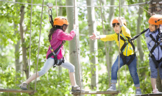 Découvrez 7 spots d’accrobranche franciliens accessibles aux petits comme aux grands. crédit photo : Getty Images