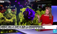 COP15 sur la biodiversité : un million d'espèces végétales et animales menacées