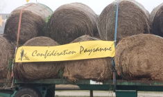 Dermatose: action d'éleveurs près d'un centre commercial à Bègles