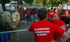 Des éleveurs et des membres de la Fédération nationale bovine manifestent près de l'ambassade du Brésil à Paris, le 9 juillet 2025 ( AFP / Dimitar DILKOFF )
