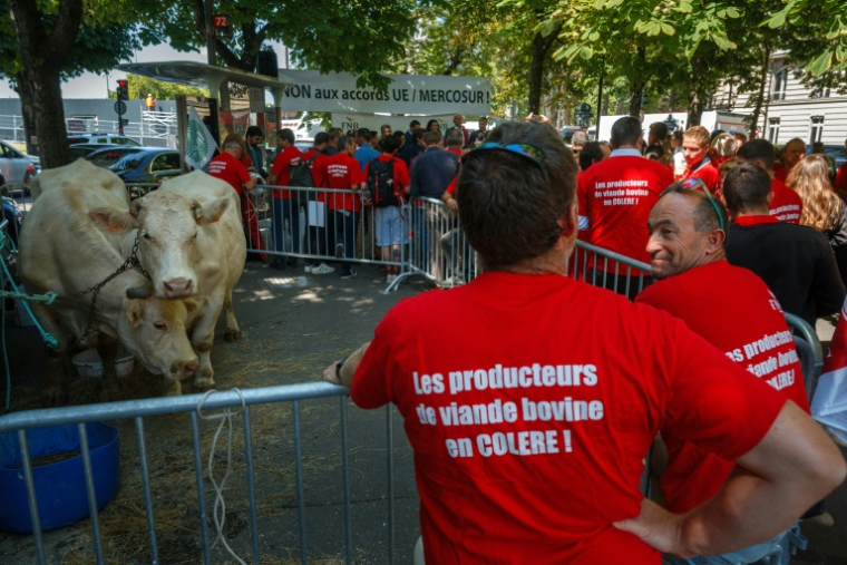 Des éleveurs et des membres de la Fédération nationale bovine manifestent près de l'ambassade du Brésil à Paris, le 9 juillet 2025 ( AFP / Dimitar DILKOFF )