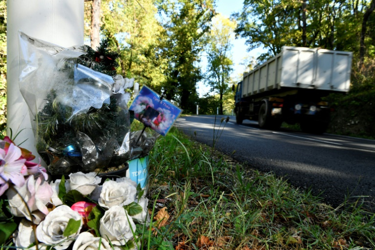Un camion passe le 18 octobre 2016 sur le site de l'accident de Puisseguin, en Gironde, qui avait fait 43 morts en 2015 ( AFP / GEORGES GOBET )