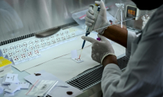 Un scientifique réalise un test ADN au Laboratoire national de médecine légale à Lalitpur, près de Katmandou, au Népal, le 19 septembre 2026 ( AFP / Prakash MATHEMA )