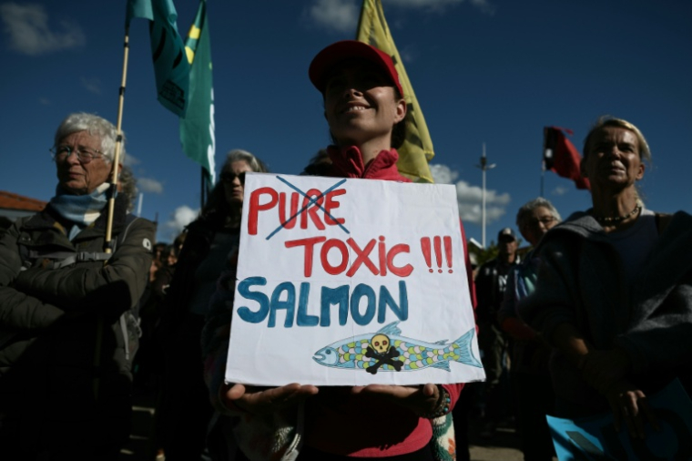 Manifestation contre le projet d’élevage industriel de saumons en milieu terrestre, le 18 octobre 2026 au Verdon-sur-Mer, en Gironde ( AFP / Philippe LOPEZ )