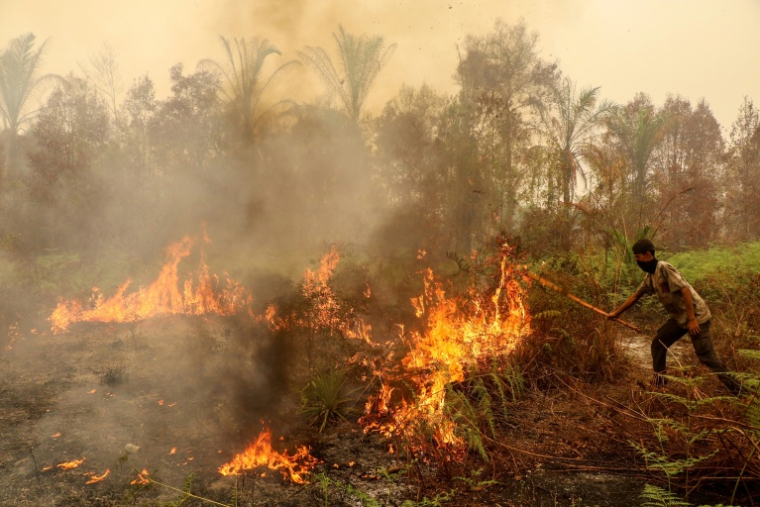 Un homme tente d'arrêter un feu avec un bâton à Palangkaraya, en Indonésie, le 13 octobre 2026 ( AFP / REINA )
