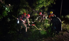 Photo de l'armée philippine montrant des soldats déblayant des branches abattues par la tempête tropicale Bualoi le 25 septembre 2025 à San Policarpio ( PHILIPPINE ARMY / Handout )