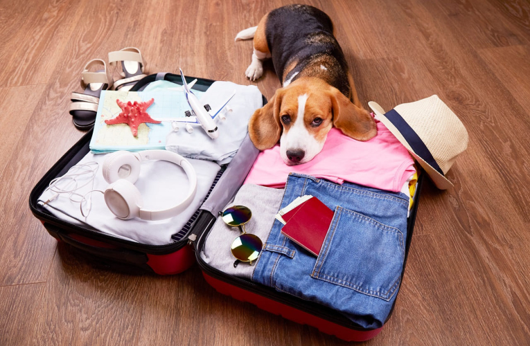 (Crédits photo : Adobe Stock - Valise prête pour des vacances sereines et réussies grâce à l'assurance)