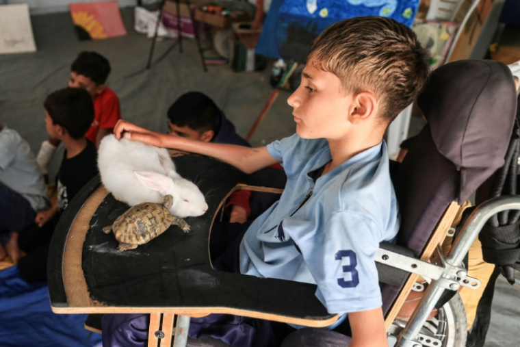 A disabled displaced Palestinian child sits with a turtle as he participates in psychological debriefing sessions at an art studio that uses pets and birds to aid the children, in the Al-Zawaida area, in the central Gaza Strip on April 21, 2026. ( AFP / Eyad Baba )
