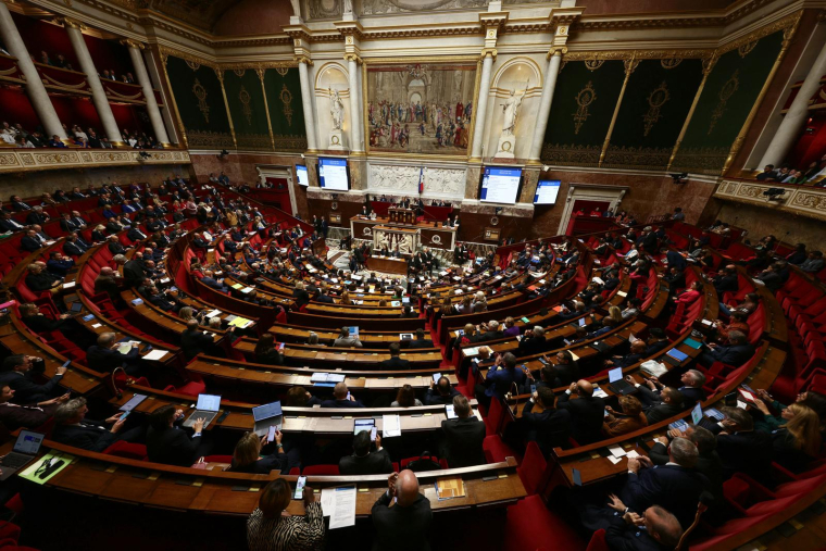 ( AFP / THOMAS SAMSON )