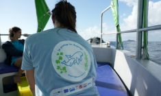 Un scientifique porte un t-shirt à l'effigie des dugongs, lors d'une collecte d'ADN pour la conservation du mammifère marin, dans l'océan Indien, le 22 mai 2026 au nord de Mayotte ( AFP / Marine GACHET )