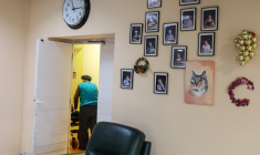 ( AFP / CHARLY TRIBALLEAU )