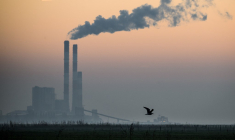 ( AFP / LOIC VENANCE )