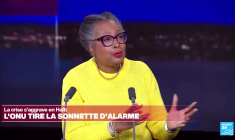 Haïti : Emmanuel Macron doit reconnaître la "dette" de la France, selon l'auteure Monique Clesca