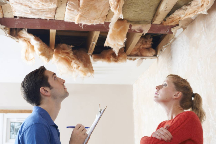 Rénovation, bientôt un accompagnateur pour les ménages français ? iStock-MachineHeadz