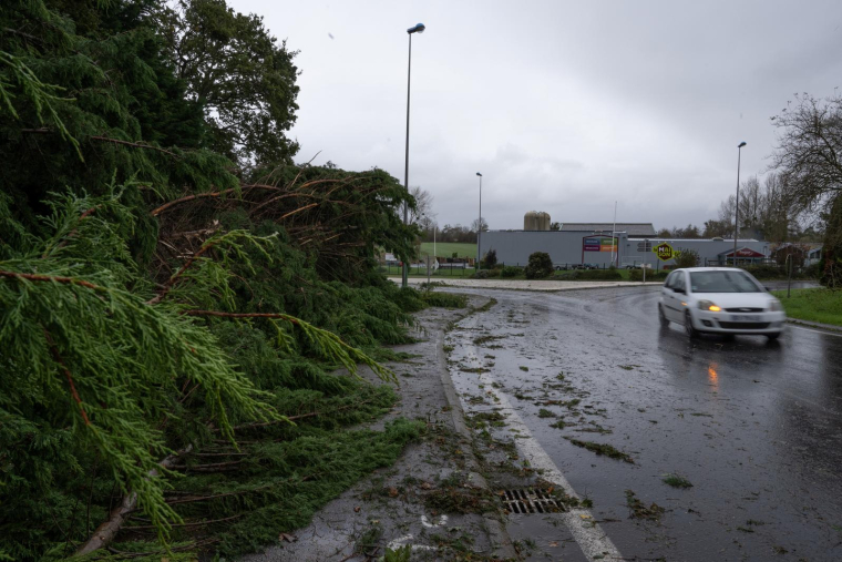 ( AFP / LOU BENOIST )